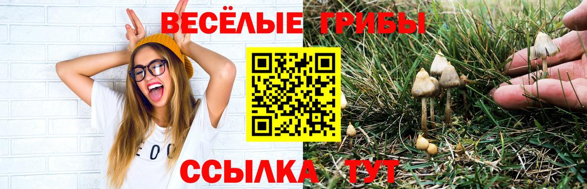 ГАШ  НБОМе  МЕФ   КОКАИН  Новодвинск  ГАШИШ  Вход с VPN 