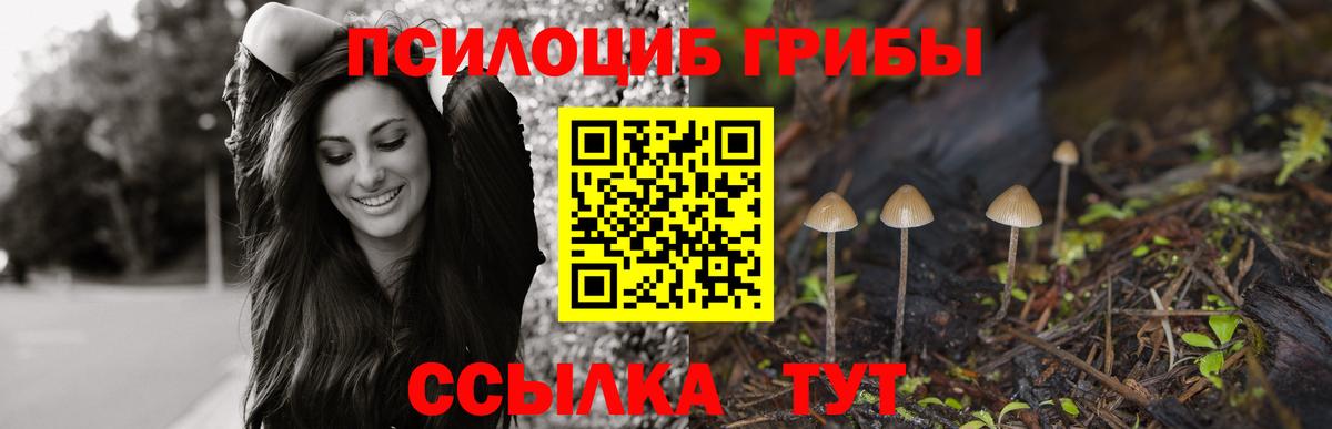 Галлюциногенные грибы мухоморы  Вход с VPN  Новодвинск 